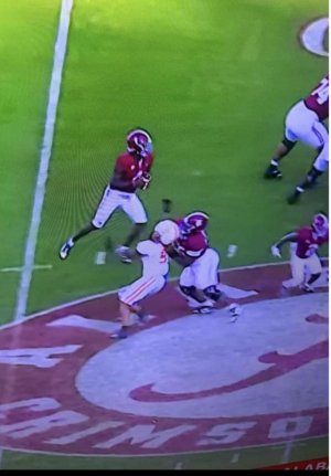 The Official #1715 Tennessee vs. #11 Alabama Thread, 330 PM ET, CBS  Page 180  VolNation.com.jpeg