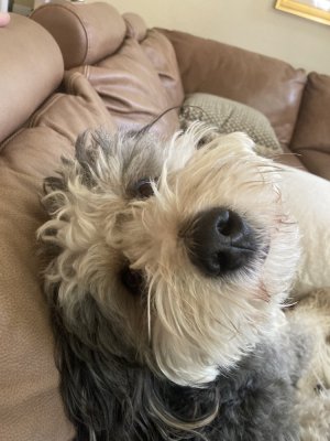 IMG_5441.jpeg