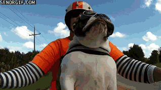 1698507794488.gif