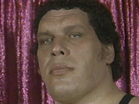 1698882928250.gif