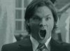 5919_-_animated_gif_dean_winchester_monochrome_reaction_image_sam_winchester_supernatural.jpg