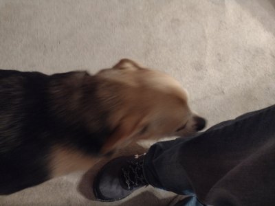 IMG_20231107_174121130.jpg