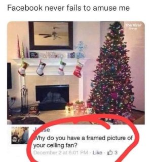 FB_IMG_1699605221297.jpg