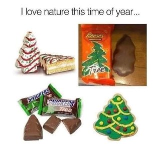 FB_IMG_1699833455392.jpg