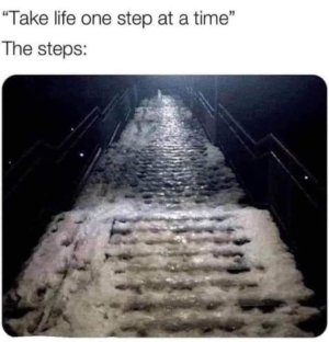 FB_IMG_1699851636405.jpg