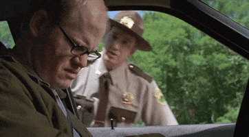 1700265916033.gif