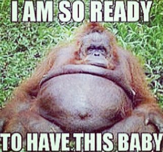 Expectant simian.jpg