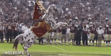 1701563039888.gif