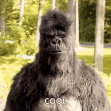 1701568326953.gif