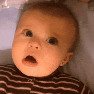 1701572566293.gif