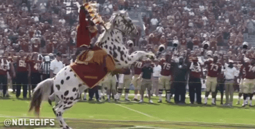 1701577885697.gif