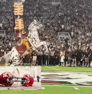 1701578641612.gif