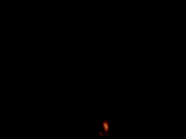 1701620380189.gif