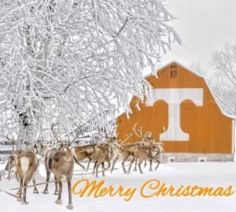 Merry Christmas.jpg