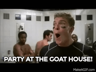1703291494412.gif