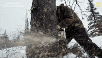200w (7).gif