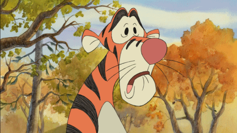 1703374273669.gif