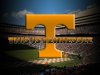 vols (1).jpg