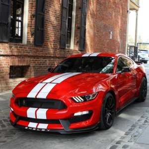 aacd7e409adae2bd08214ce366d11d0d.jpg
