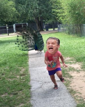 1706061576732.jpeg