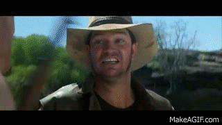 1000008784.gif