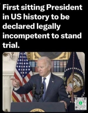 incompenent to stand trial.jpeg