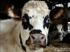 6753450.gif