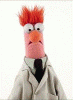 beaker.gif