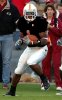DSC_3584-lg2.jpg