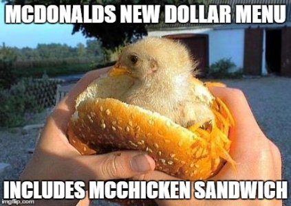 1709241181154.jpeg