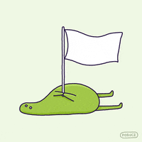 IMG_5466.gif