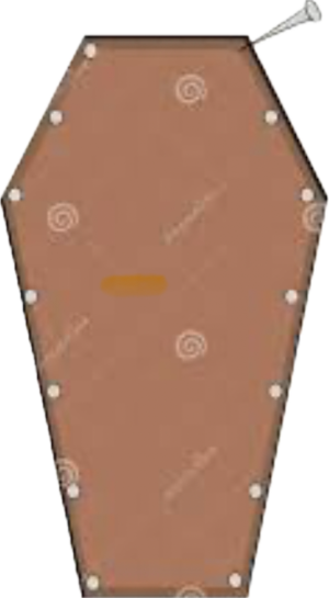 1709349032911.png