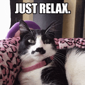 1709396321713.gif