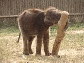 1709439603245.gif