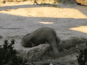 1709439842125.gif