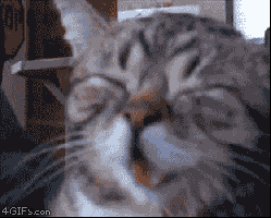 1709863753592.gif