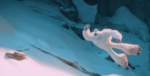 IMG_1090.gif