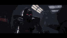 IMG_5566.gif