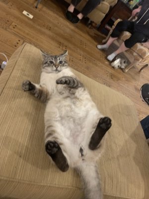 IMG_8304.jpeg