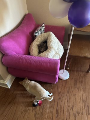 IMG_2003.jpeg