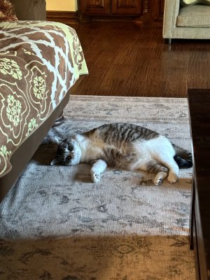 IMG_1636.jpeg