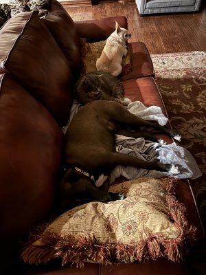 IMG_1283.jpeg