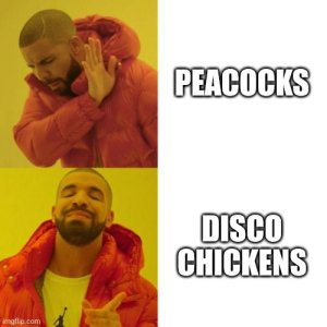 1710945028444.jpg
