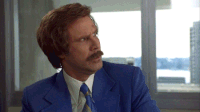 200w (3).gif