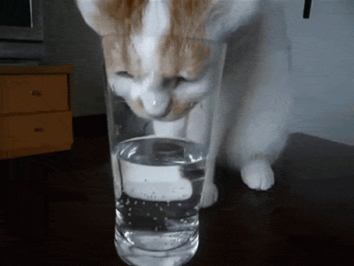 1711152866550.gif