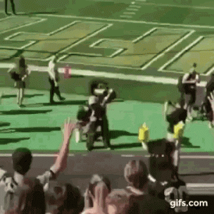 colorado-buffaloes.gif