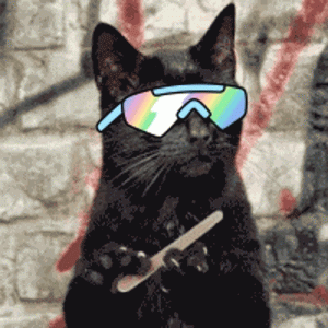 1711237683376.gif