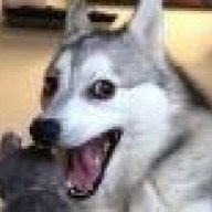 IMG_1282.jpeg