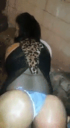 giphy-downsized.gif