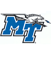 team-logo-mtn.gif team-logo-mtn.gif